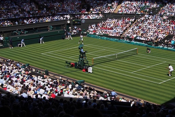 Wimbledon 2024 - Sportingclass
